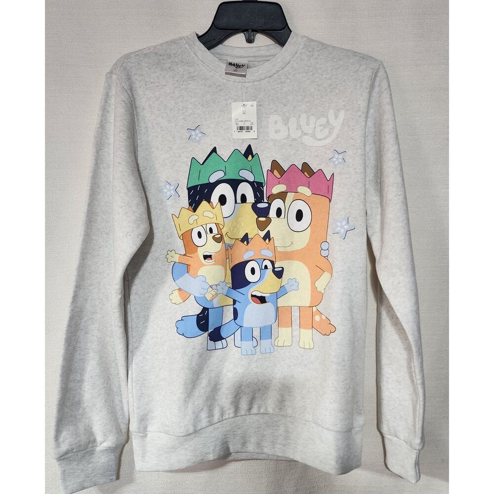 Bluey family gray sweatshirt women's XS